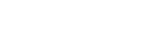 VIP Realty